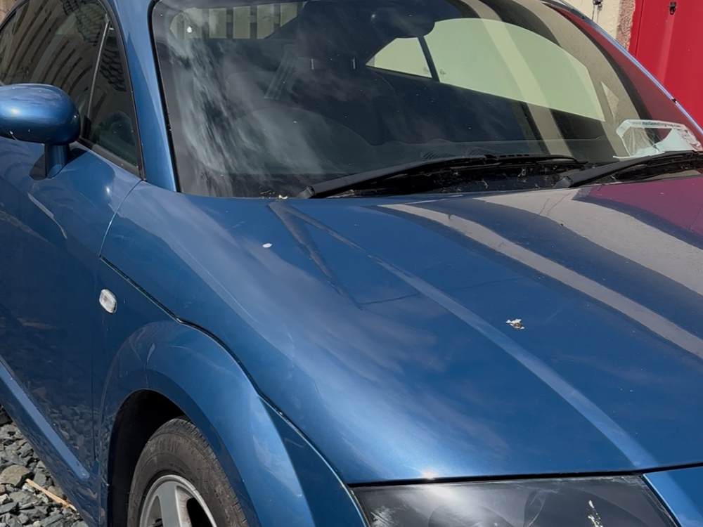 Car paint before machine polish — swirl marks and dull finish